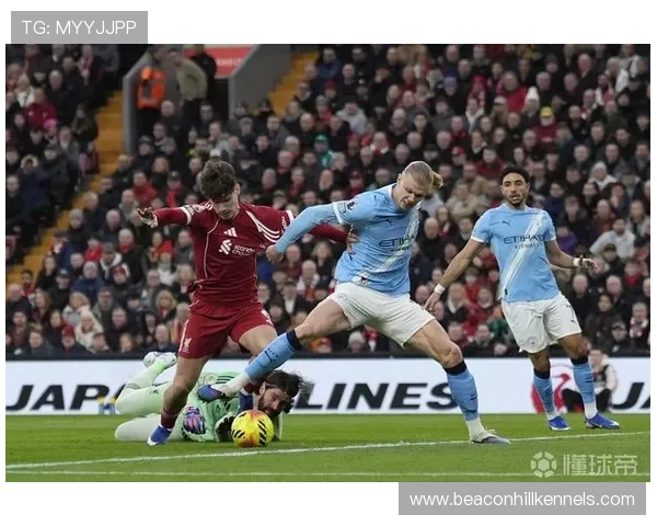 哈兰德在英超首秀中表现稳健，开启全新赛季篇章值得关注。