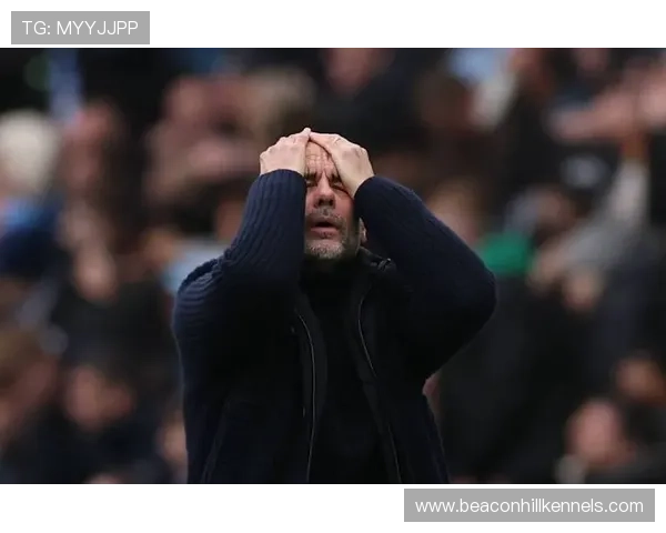 特雷弗·查洛巴在英超的表现稳健，未来发展趋势值得关注