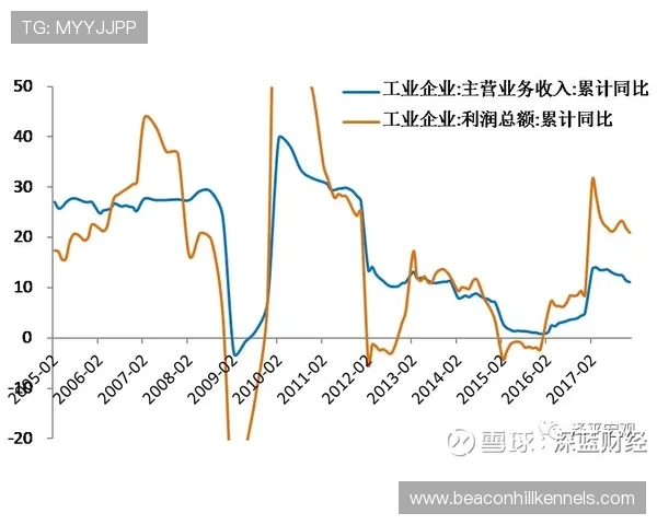 布鲁日数据分析显示城市经济新趋势，投资机会与挑战并存