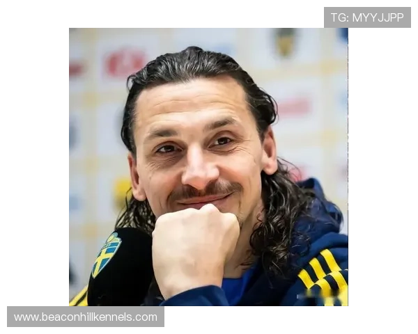 伊布退役后瑞典足球新时代来临，年轻球员迎来成长机遇