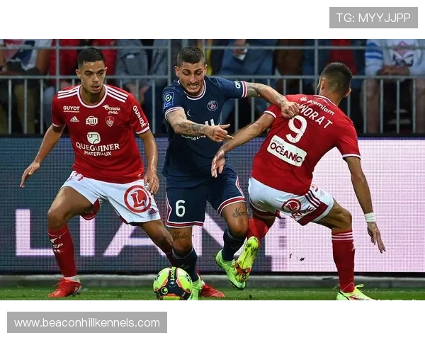 兰斯赛程解读：近期对阵安排与赛季走势分析