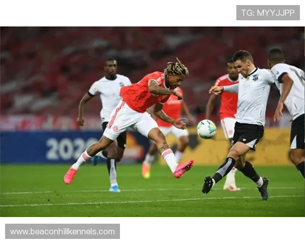 萨维奇技术全面性持续提升，攻防表现稳健