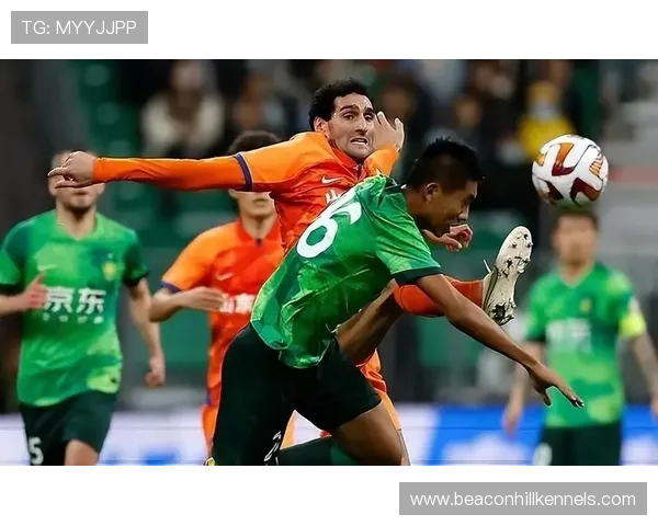 兹沃勒防线近期表现稳健，防守端持续保持稳定