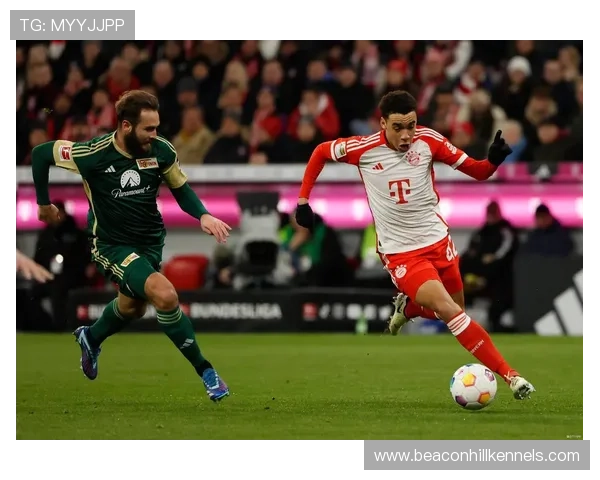 拜仁慕尼黑球迷热情高涨 德甲赛场氛围持续升温