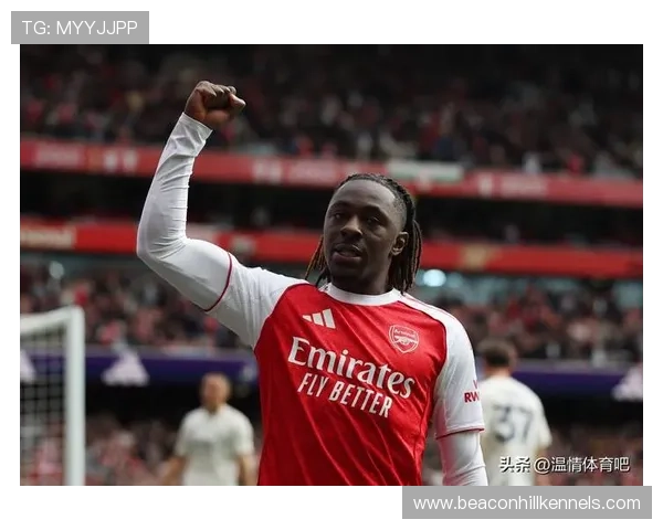 维拉与阿森纳近期表现稳健，竞争格局持续提升