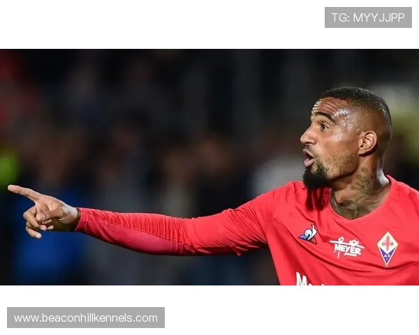 博阿滕本赛季防守表现稳健，整体实力仍具竞争力