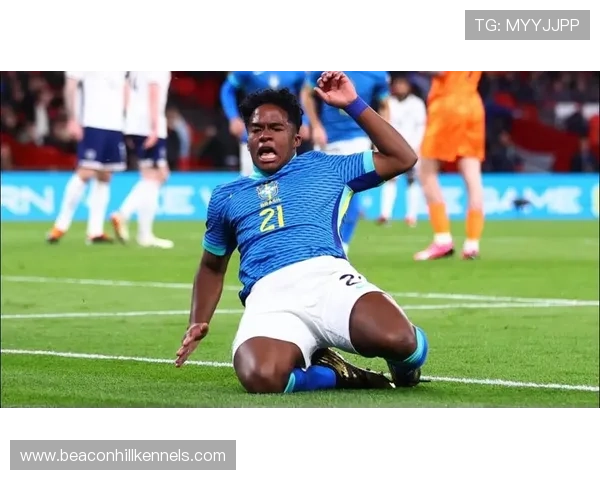 恩德里克国家队表现