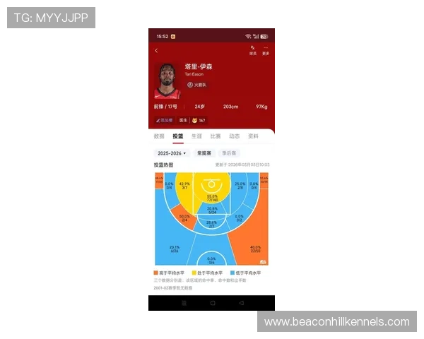 伊布比赛影响指数