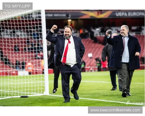 诺丁汉森林转会策略聚焦实用引援，近期操作体现竞争力增强趋势