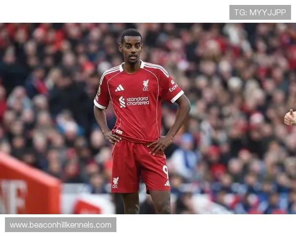 伊萨克英超影响力