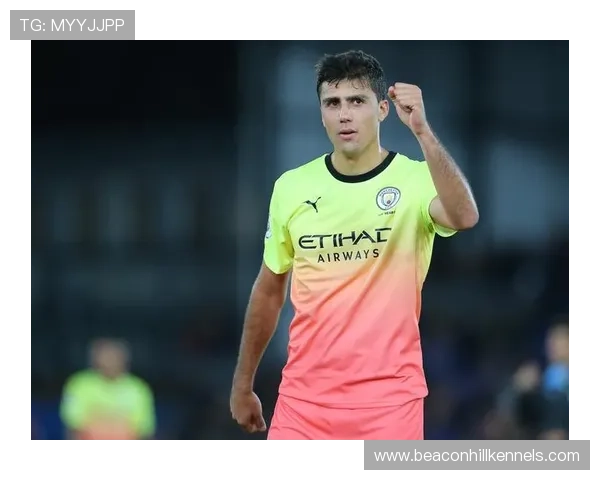 曼城的 Rodri 商业效应