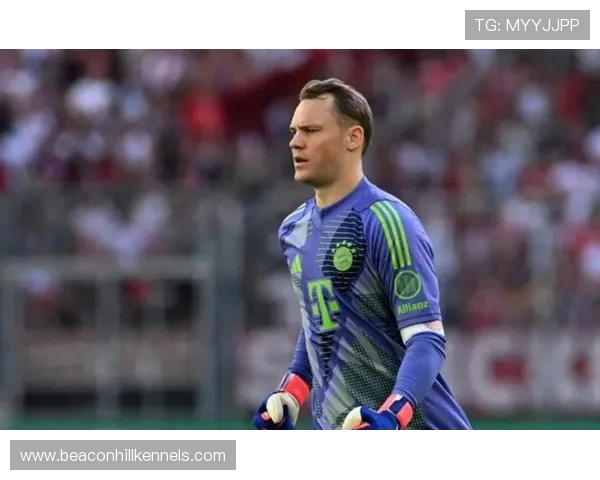 诺伊尔职业生涯解析