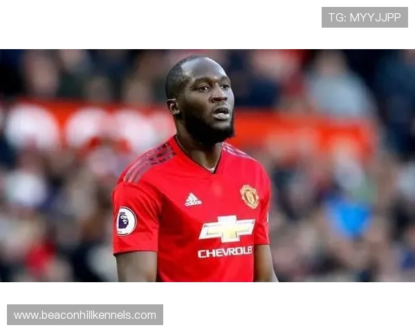 欧洲杯卢卡库进球