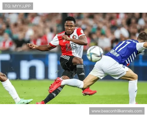 兹沃勒本赛季控球能力表现稳健，中场组织效率持续提升