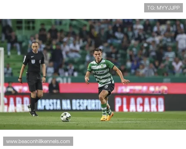 乌加特：从潜力后腰到豪门主力轮换的上位历程