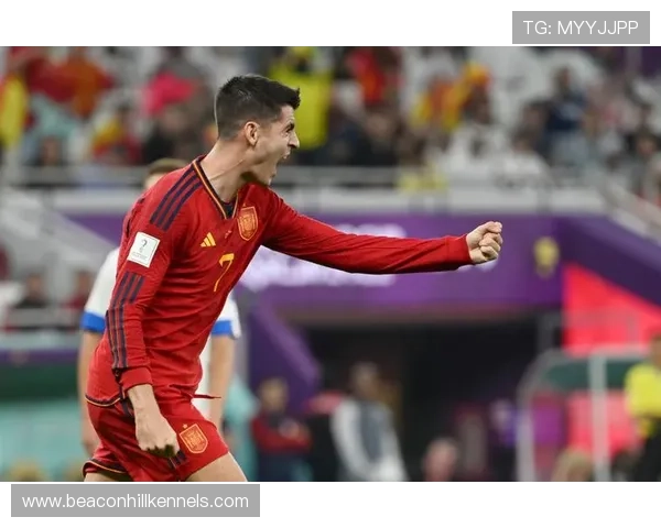 加维：西班牙国家队最年轻出场纪录解析