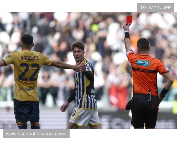 弗拉霍维奇 vs 凯恩：传统中锋与全能前锋的差距