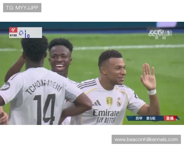 维尼修斯与罗德里戈对比：皇马边路核心角色如何分配