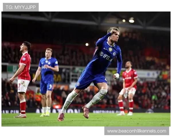 切尔西主帅执教稳定性面临考验，对赛季走势带来影响