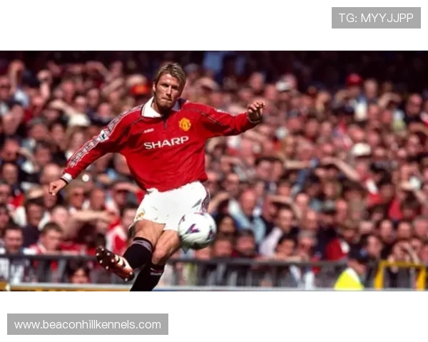 尤文进攻核心效率起伏，阶段性问题对赛季稳定性产生影响