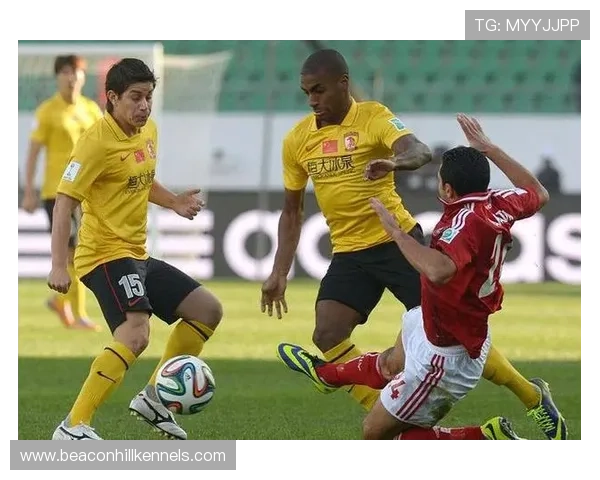 李刚仁本赛季助攻数据持续提升，表现稳健