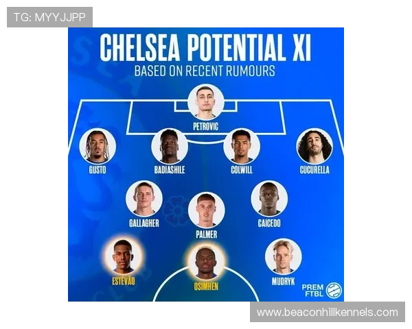 切尔西阵容豪华却难显整体性，人多势众反陷越踢越散困局