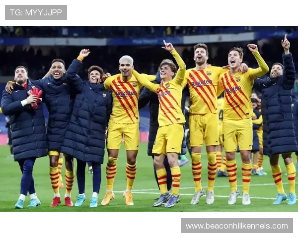 巴萨引援策略：补强需求与现实妥协之间的平衡考量