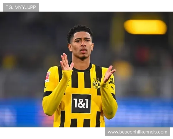 贝林厄姆能否成为未来第一中场：战术角色与上限对比分析