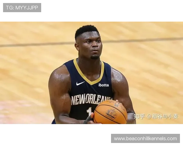 佩德里伤病体质：出勤率与身体耐负荷分析