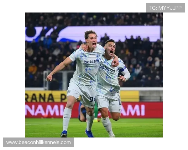 劳塔罗终结效率与进球构成分析