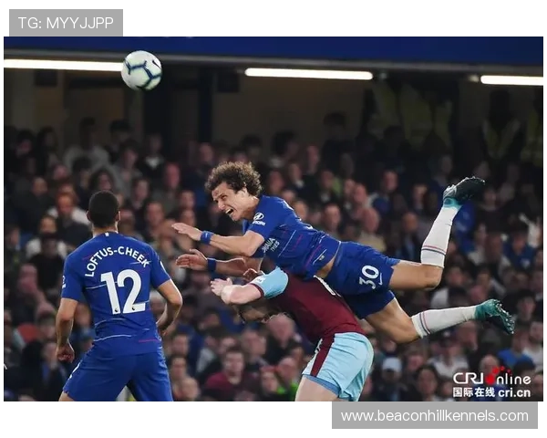 坎特作为防线前第一屏障的战术定位解析