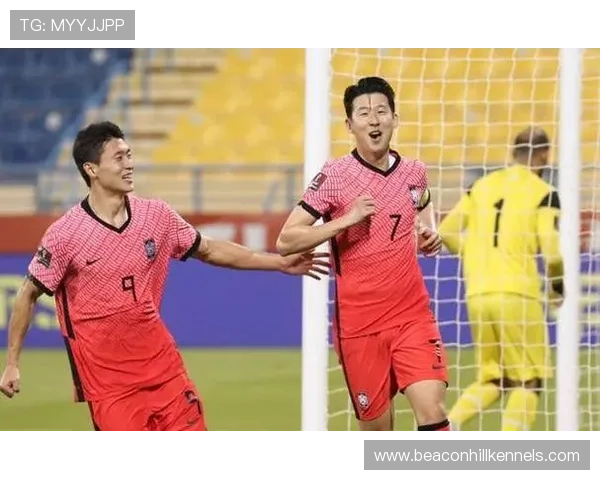 孙兴慜与冈崎慎司：亚洲前锋战术角色与进攻效率对比分析