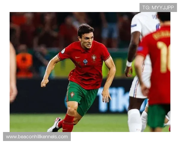 帕利尼亚：从葡超主力到英超重金引援的生涯跃迁分析