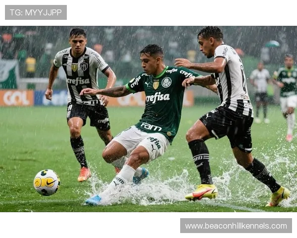 恩德里克爆发赛季表现解析：帕尔梅拉斯惊艳数据与战术角色