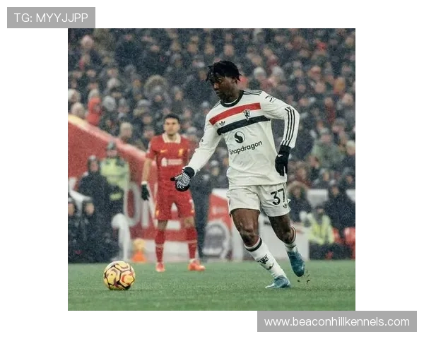 塞维利亚财政危机持续显现，球队引援与竞技表现面临双重压力