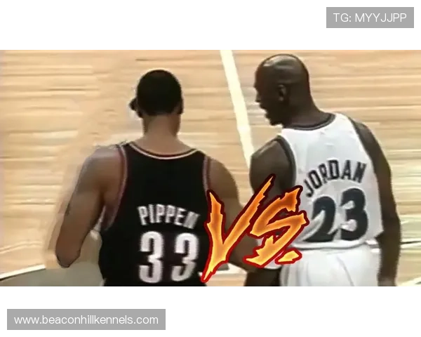 乔丹关键时刻得分占比提升 拉开与皮蓬在季后赛的差距