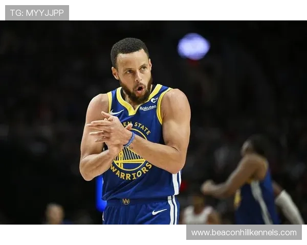 库里三分命中率明显高于欧文 主导勇士关键时刻得分结构优化