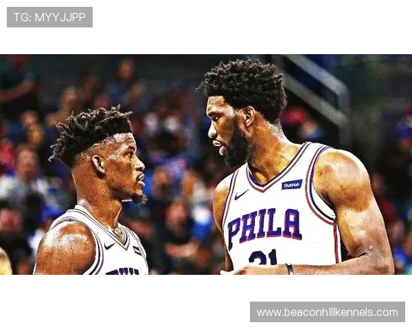 恩比德一天换几个豪车，路人都看傻了，这生活太娱乐圈了吧？