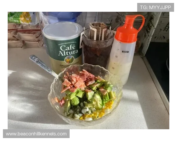 林书豪每天吃牛油果配蛋白粉，这自律谁顶得住啊