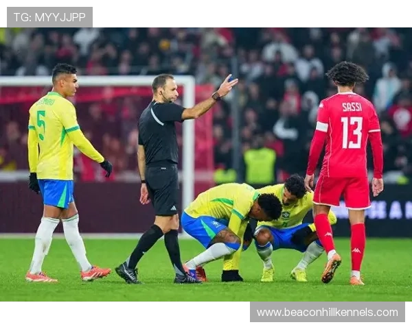 皇马后防伤病名单扩大：球队稳定性面临考验，争冠形势逐步反映。