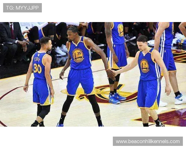 罗斯突破改变防守布局，主导进攻节奏