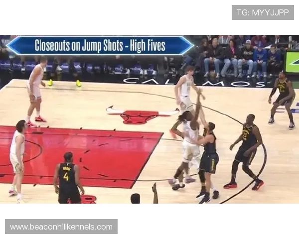 一图看懂技术犯规与违体犯规，两种犯规判罚方式有何本质不同？