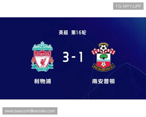 努涅斯与凯恩：全面中锋与冲击型前锋的能力差异与战术适配性分析