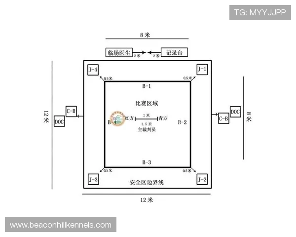 比赛中断规则如何影响比赛恢复与判罚？