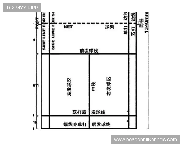 深度解析篮球“球出界判定规则”的核心要点与依据
