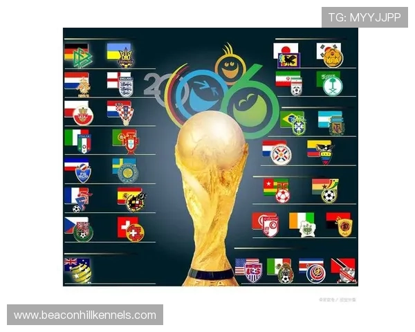 2026世界杯举办三国联合办赛规则是什么